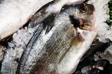 Przepisy na potrawy z ryb